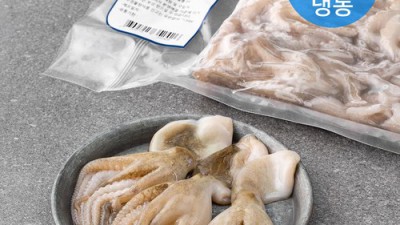 놓치면 후회! 주꾸미냉동 특가 득템 후기🐙